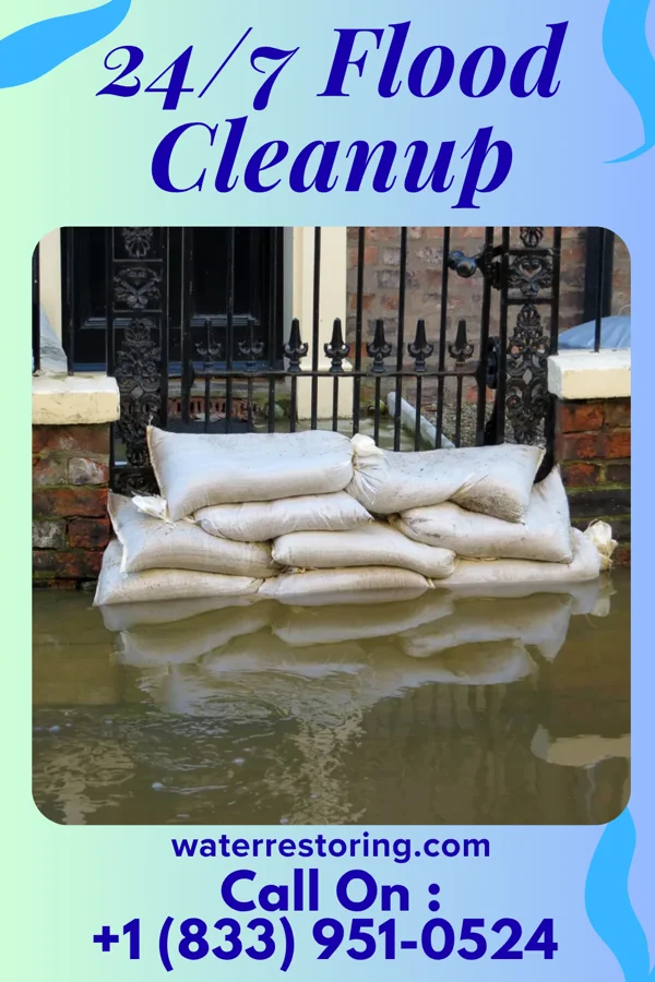 24/7 Flood Cleanup in Goodenow, IL