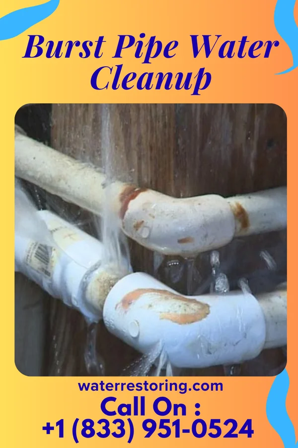 Burst Pipe Water Cleanup in Goodenow, IL