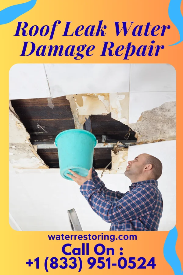 Roof Leak Water Damage Repair in Goodenow, IL