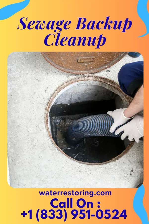 Sewage Backup Cleanup in Goodenow, IL