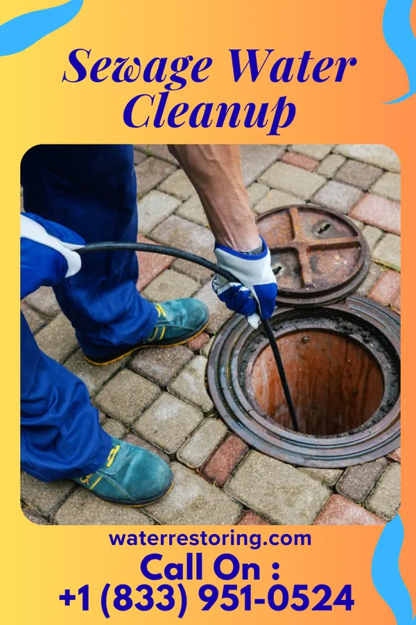 Sewage Water Cleanup in Goodenow, IL